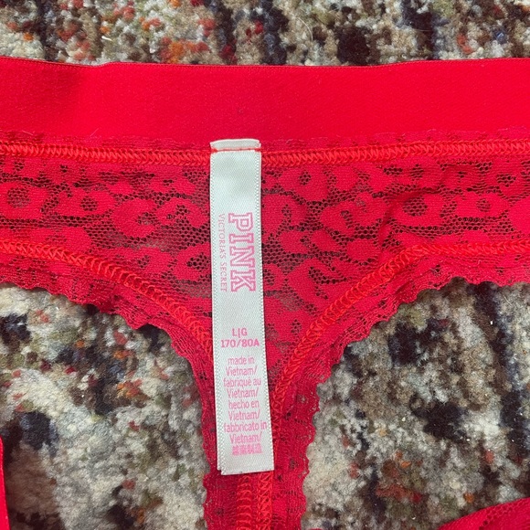 Sexy Red Sheer Cheetah Bra & Thong Set - Picture 3 of 6